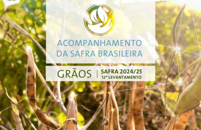 Safra de grãos 2024/25 deve alcançar 350,2 mi de toneladas