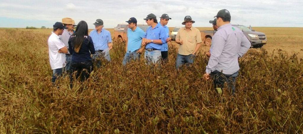 “Soja Louca” une AgroSB, Embrapa e Nufarm em visita técnica