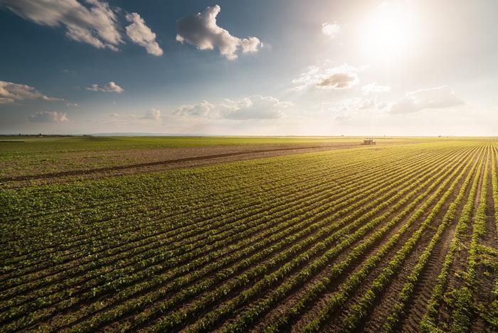 Ubyfol destaca fertilizantes foliares para soja no Maranhão