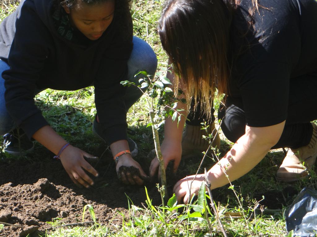 Agptea comemora 50 anos em 2019 com um novo olhar para o ensino agrícola