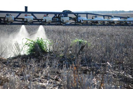 Pulverização localizada de herbicida em tempo real em plantas daninhas com Weedseeker.