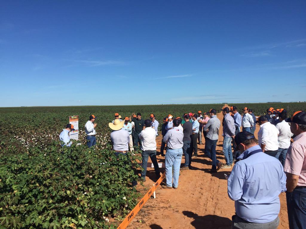 ​Cotonicultores da Bahia participam de tour com a TMG