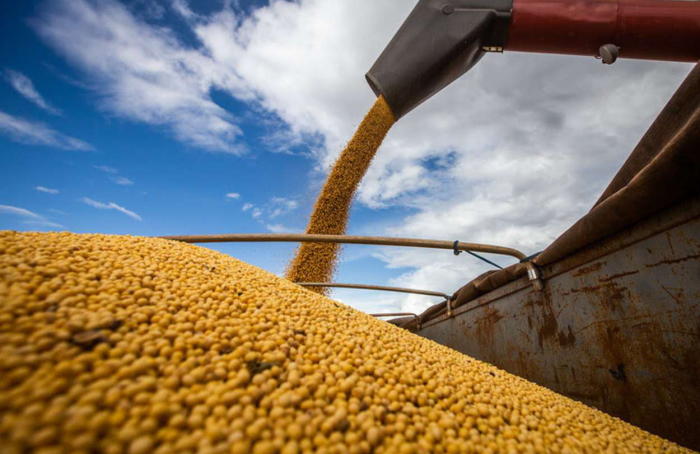 Mais de 51 milhões de toneladas de grãos foram exportados pelos portos amazônicos em 2023