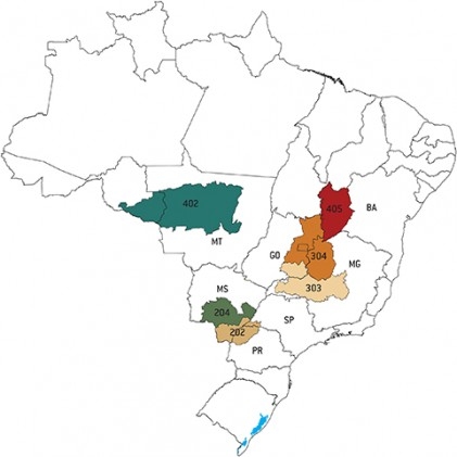 Primeira soja transgênica totalmente brasileira chega ao mercado