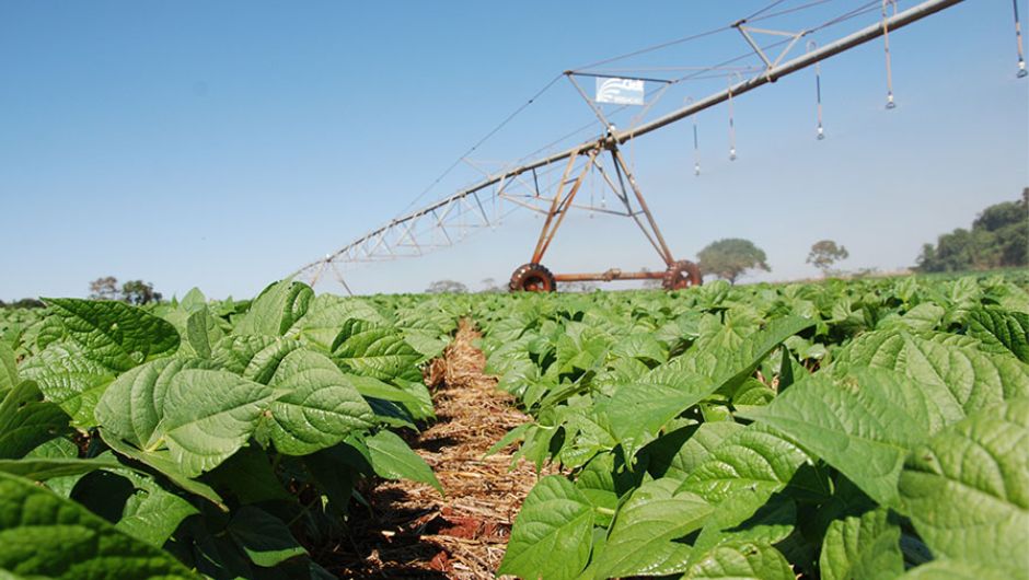 Foto: Sebastião Araújo