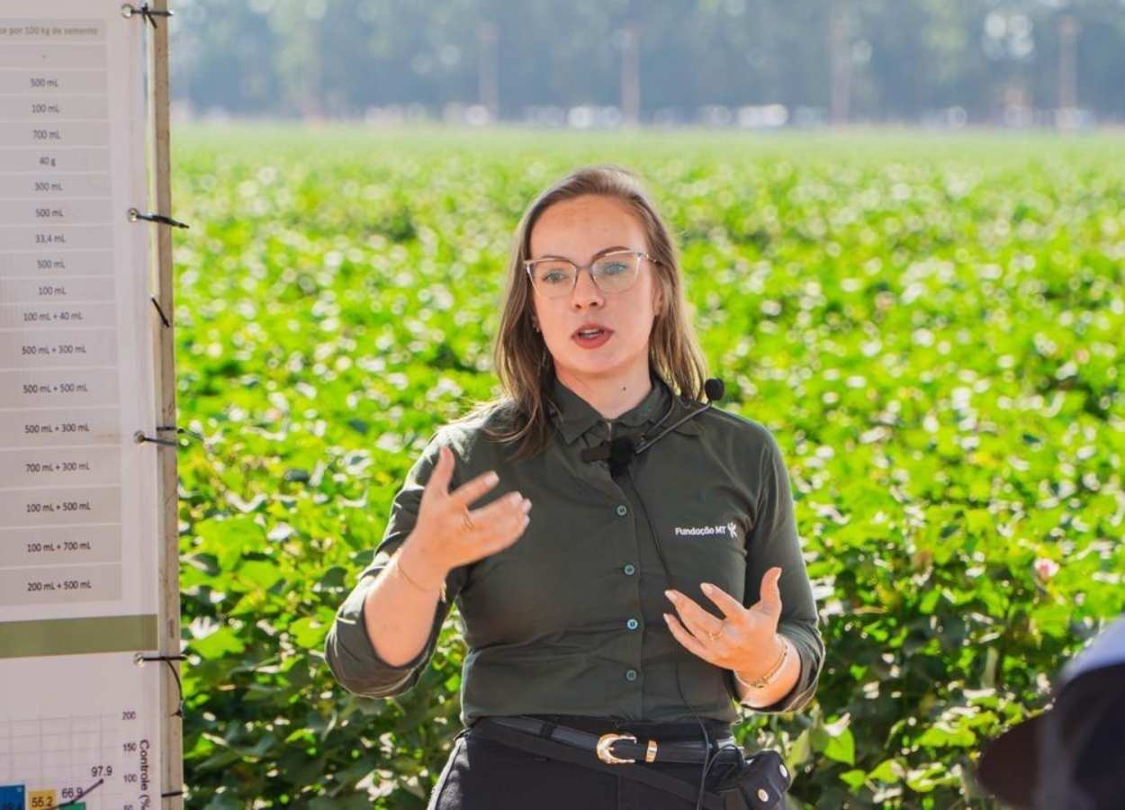 Mato Grosso se aproxima de safra histórica de algodão
