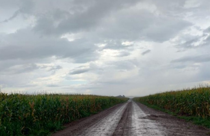 MS Safra 2025/26: chuva atrasa avanço da colheita do milho