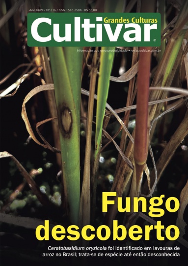 Cultivar Grandes Culturas 316