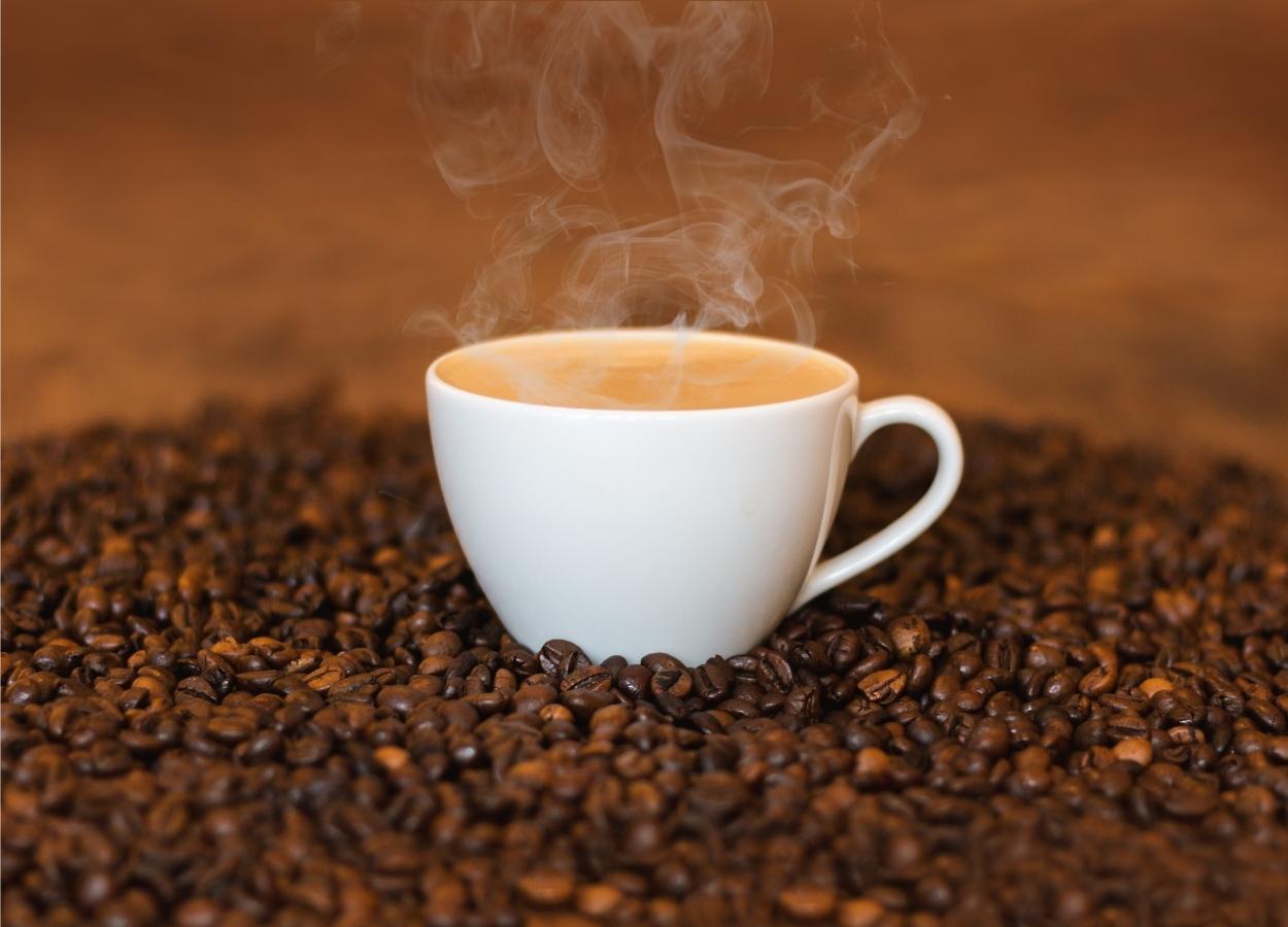 Exportações de café caem 28% em julho, diz Rabobank