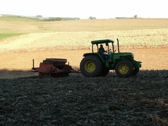 Clima seco e frio favorece evolução do plantio do trigo no RS