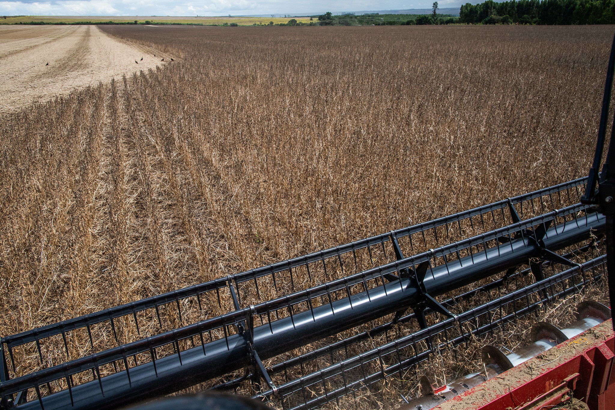Brasil exporta tecnologia de irrigação para a Europa – Revista Rural