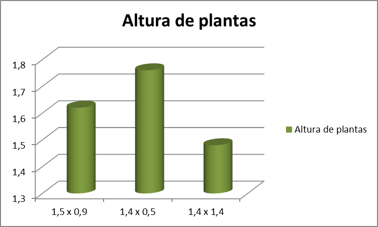 Figura 4 - Representação gráfica da altura das plantas em (m) para os espaçamentos avaliados