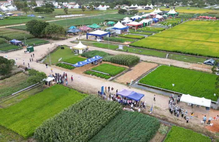 Technological showcases will be highlights at the 34th Rice Harvest Opening