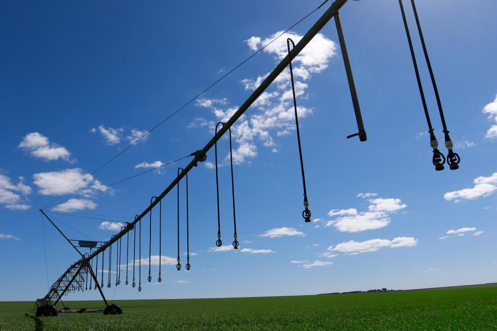 Censo Agro aponta maior produtividade, mecanização e área irrigada