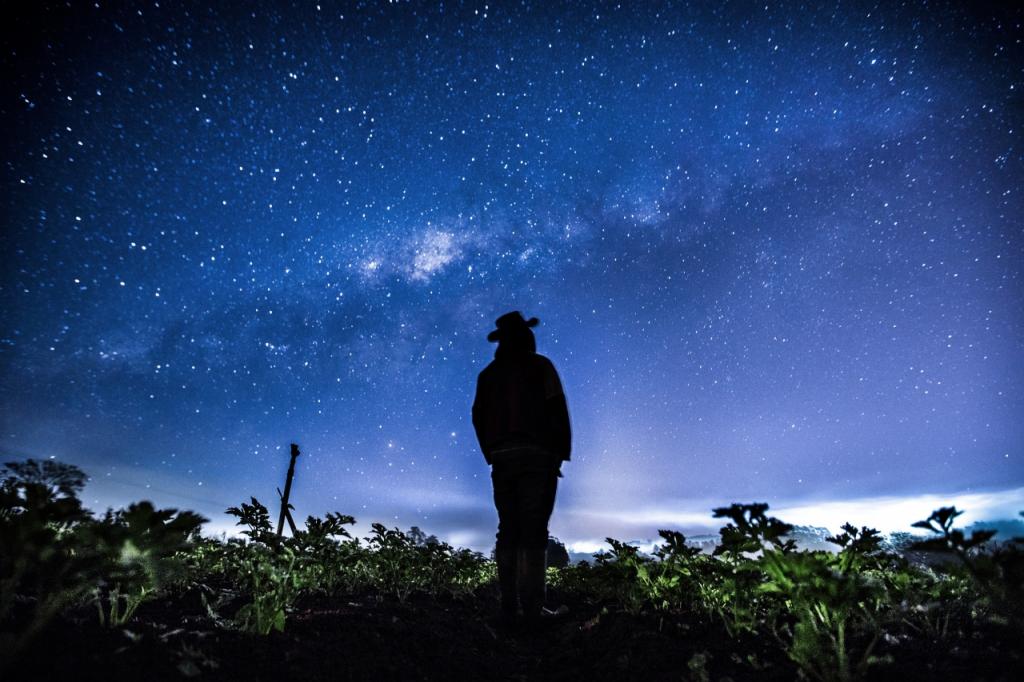 ​Fotógrafos do Brasil e da Argentina são os vencedores do 12ºPrêmio New Holland de Fotojornalismo