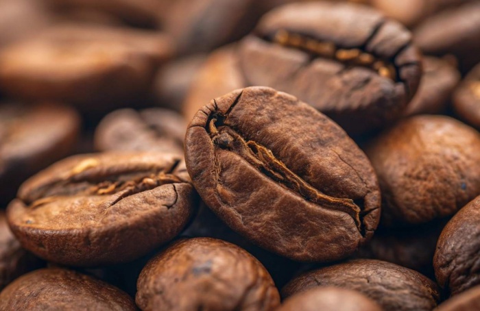 Exportadores de café têm prejuízo de R$ 5,9 milhões em agosto