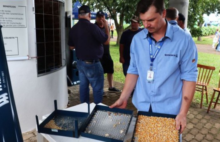 Solução acessível melhora qualidade do armazenamento de grãos