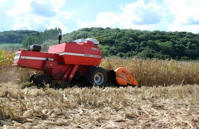 RS Safra 2025/26: colheita do milho entra na reta final