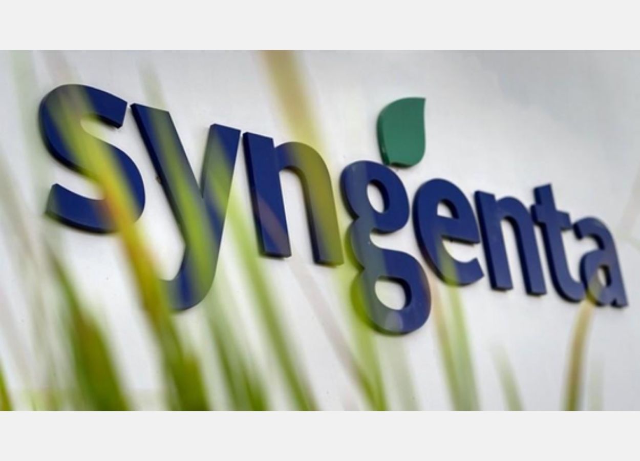 Syngenta abre inscrições para programa Jovem Aprendiz