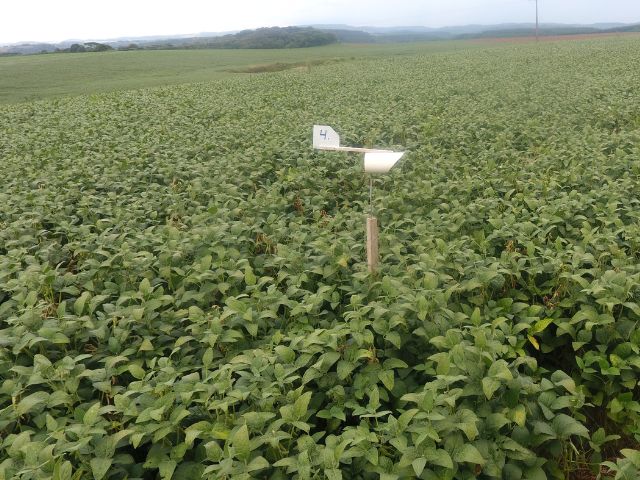 Alerts issued by Epagri help control a disease that could decimate soybean crops
