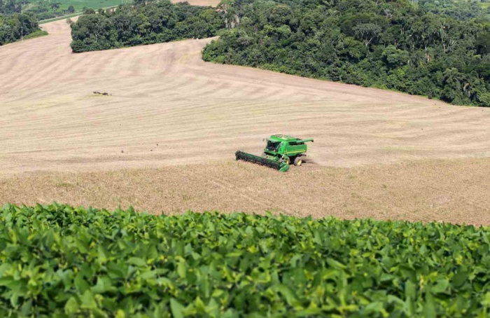 Safra de grãos no Paraná deve atingir novo recorde