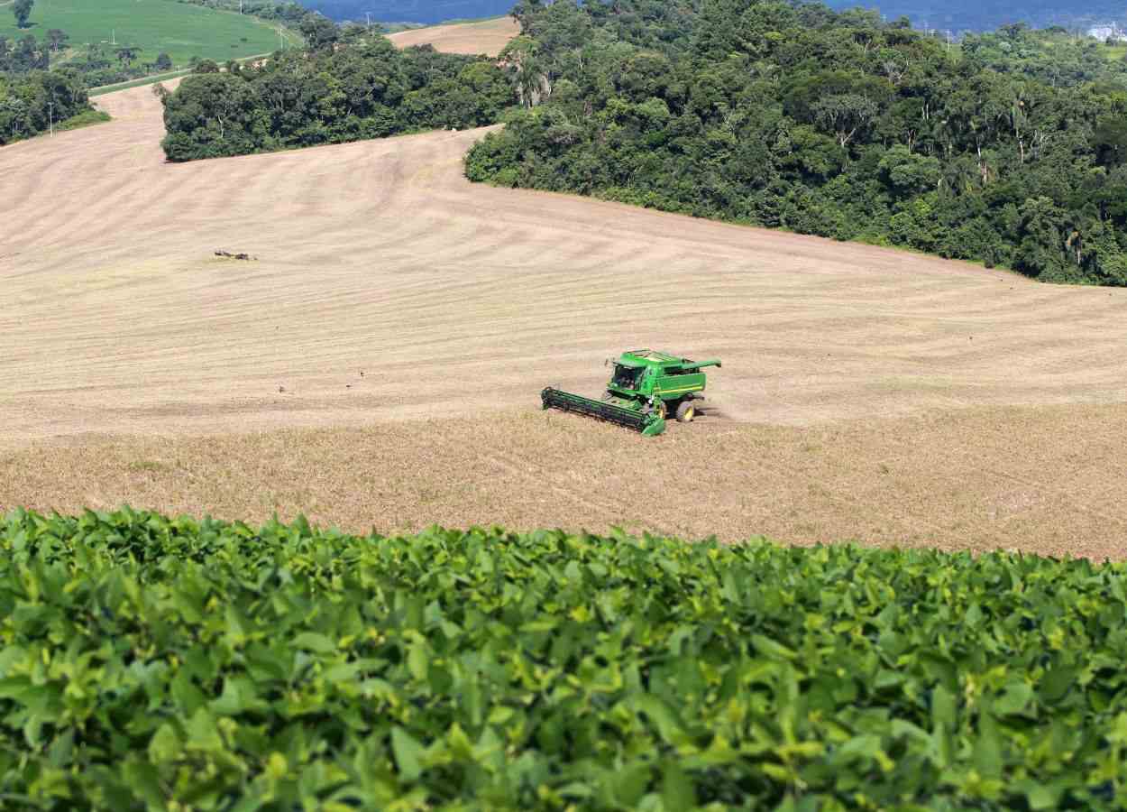 Safra de grãos no Paraná deve atingir novo recorde