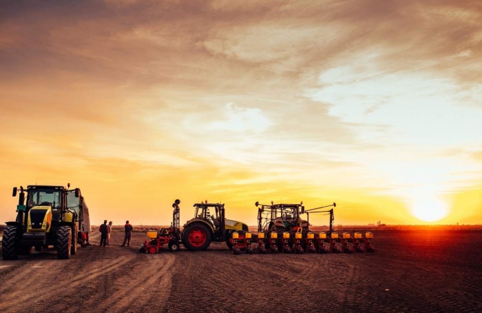 VBP da Agropecuária deve crescer 13,1% em 2025