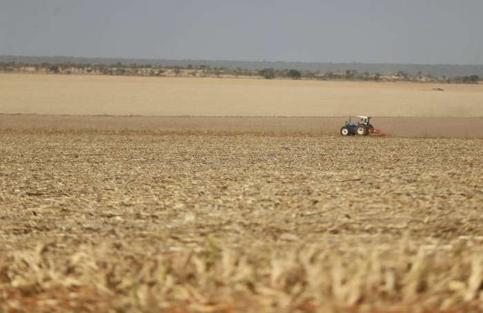 Calor aumenta e seca persiste na Zona da Soja