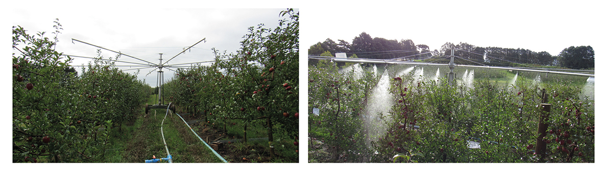 Foram aplicadas chuvas sobre as plantas do pomar através de um simulador do tipo empuxo.
