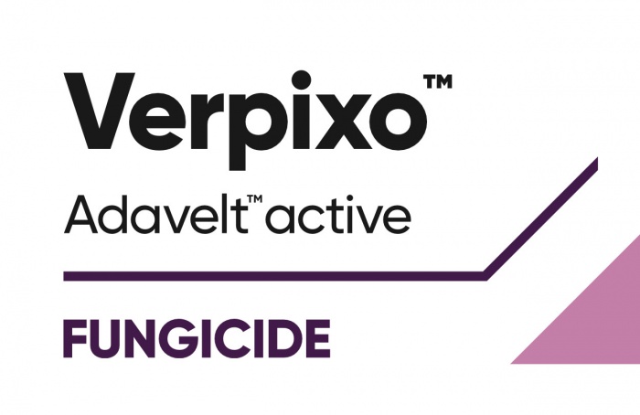 Corteva lança fungicida Verpixo nos EUA