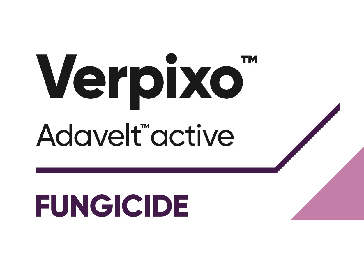 Corteva lança fungicida Verpixo nos EUA