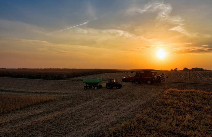 Verão mais chuvoso deve favorecer o agronegócio em 2025/26