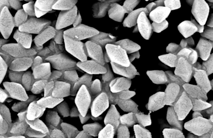 Cientistas ampliam Vip3A em Bacillus thuringiensis
