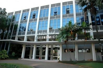 Seis vagas de pós-doutorado com bolsa da FAPESP no Instituto Agronômico