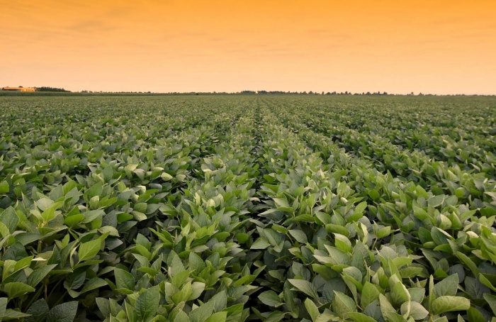 Chuvas e calor intenso marcam o próximo trimestre no país