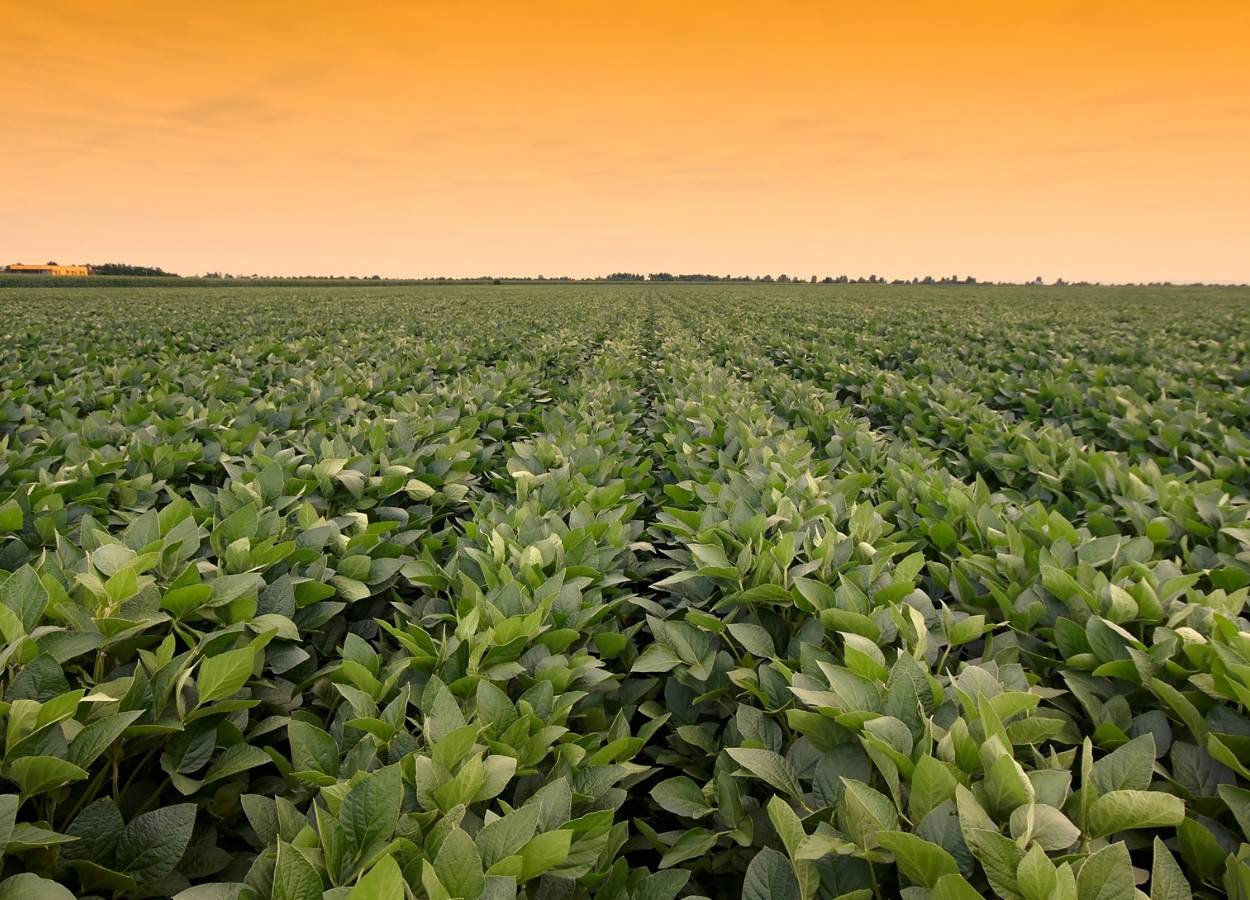 Chuvas e calor intenso marcam o próximo trimestre no país