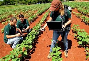 Pós-doutorado em Ciência do Solo com bolsa da FAPESP