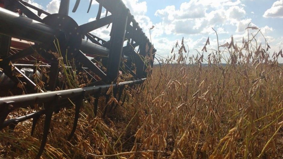 Foto: Vanessa Almeida de Moraes