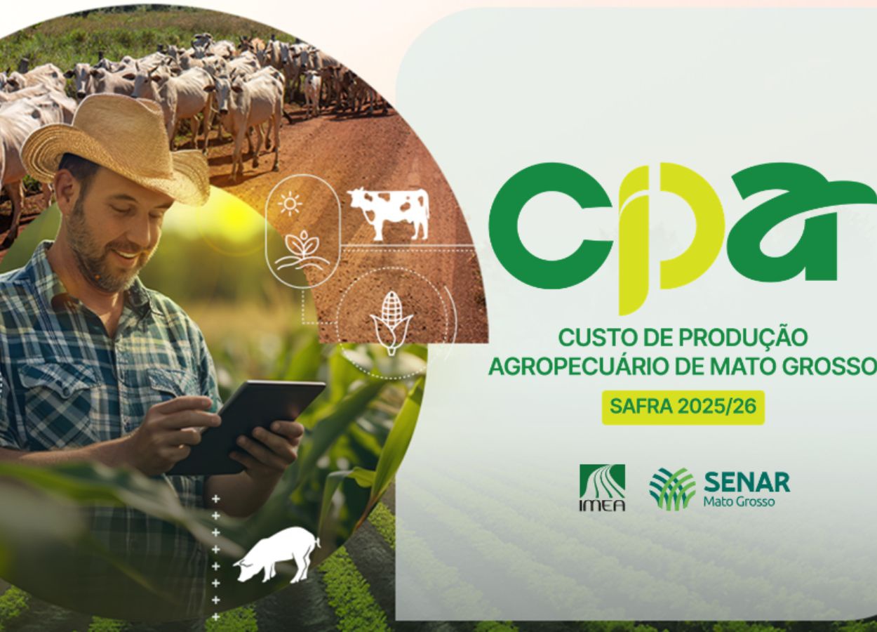 Custos da safra 2025/26 sobem em Mato Grosso