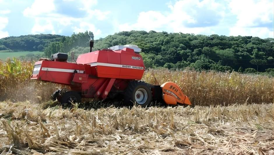 Foto: Vanessa de Moraes