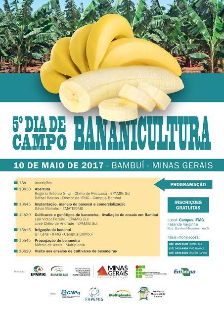 Dia de campo apresenta tecnologias para produção de banana