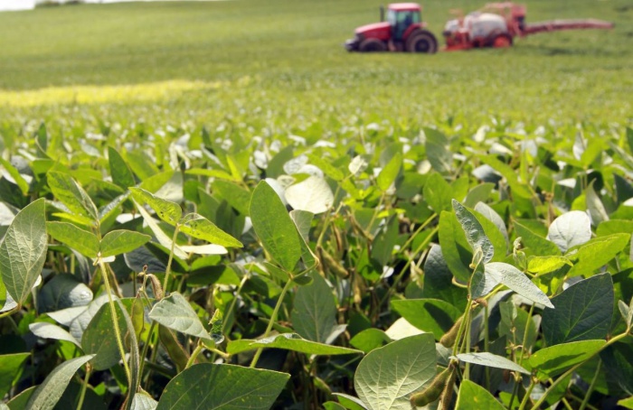 Entregas de fertilizantes podem cair até 15% em 2026