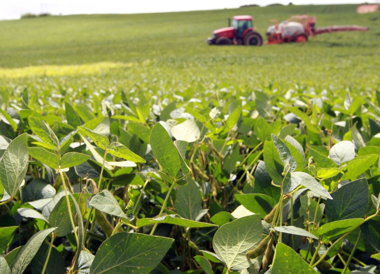 Entregas de fertilizantes podem cair até 15% em 2026