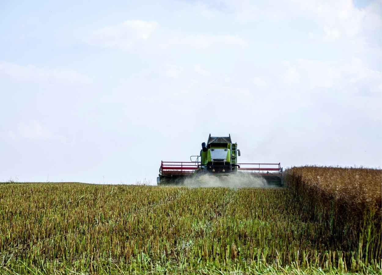 PIB do agronegócio recua 2,01% no primeiro trimestre de 2026