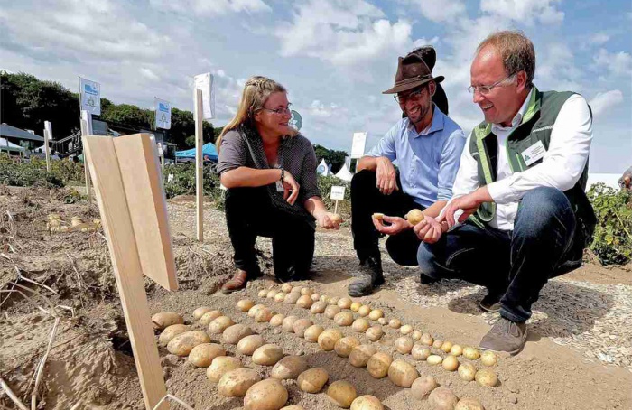 DLG inicia preparativos para a PotatoEurope 2026