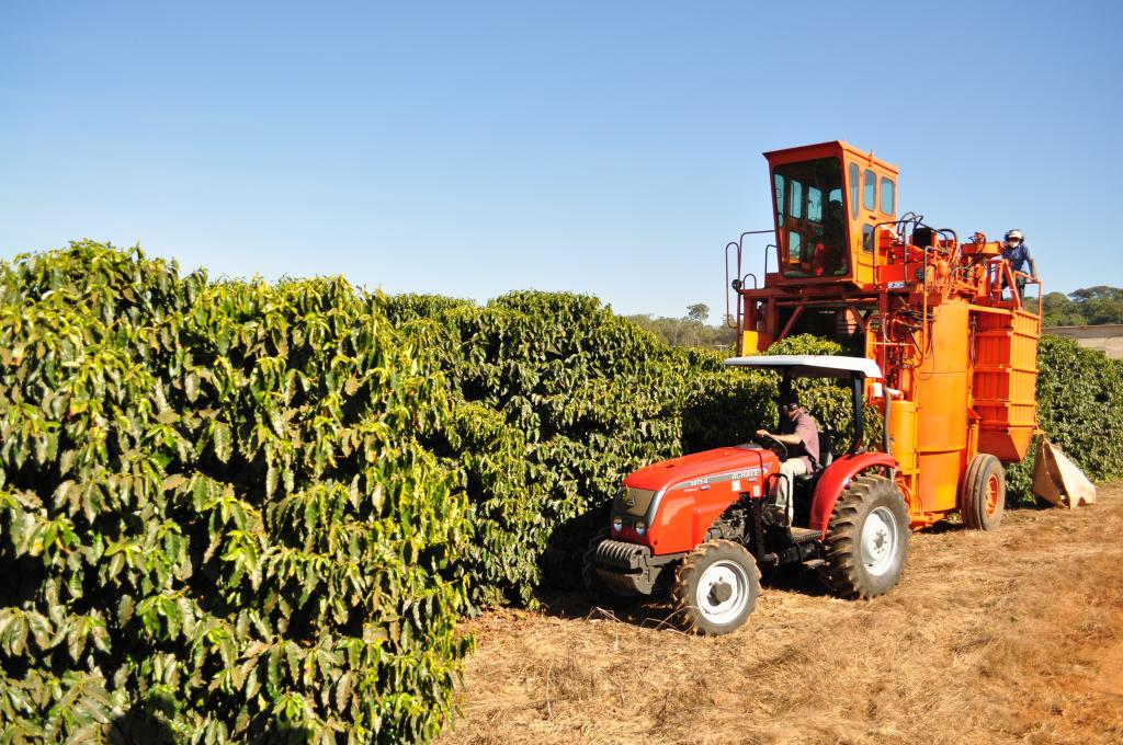 ​Receita cambial de exportação de café aumenta 4,5% em março