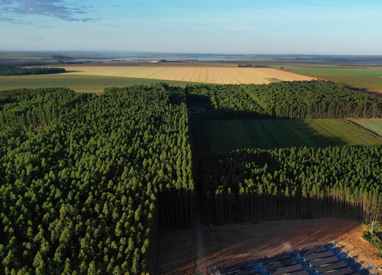 Governo cria licença ambiental especial para empreendimentos estratégicos