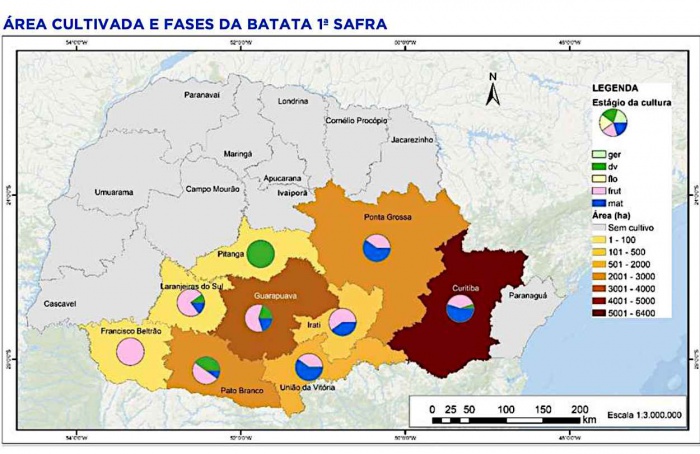 PR Safra 2025/26: clima instável e preços baixos