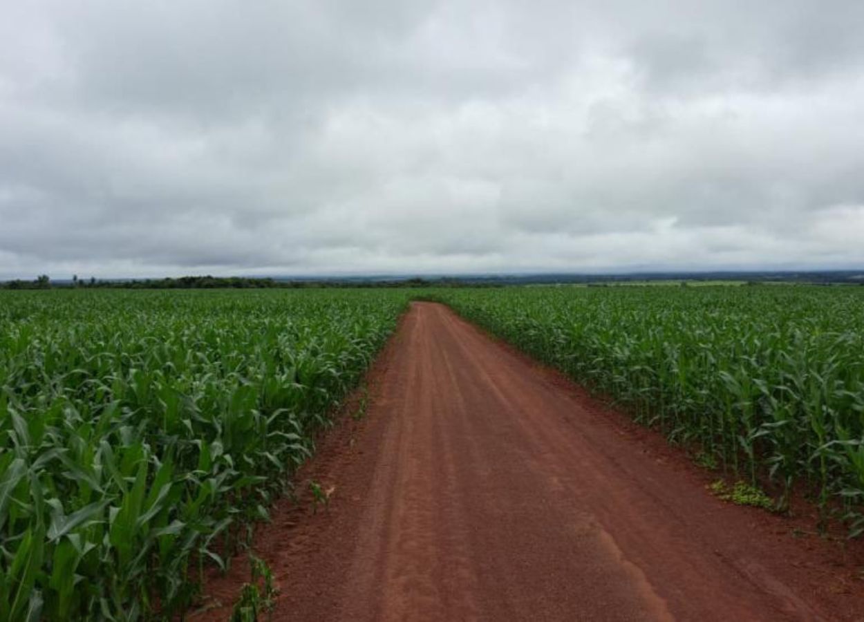 MS Safra 2025/26: colheita da soja se aproxima do fim