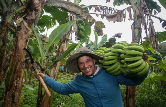 Agro de SP soma dez Indicações Geográficas reconhecidas pelo Inpi